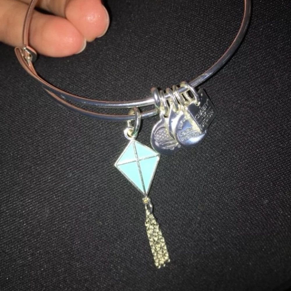 alex and ani passage of flight bracelet